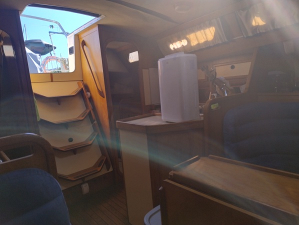 Salida en barco en Vigo — Navegada c/protagonismo + fondeo relax playa (5)