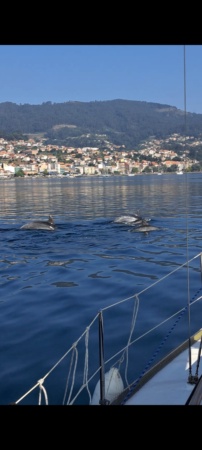 Navegación en velero por la ría de Vigo 3