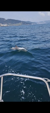 Navegación en velero por la ría de Vigo 4