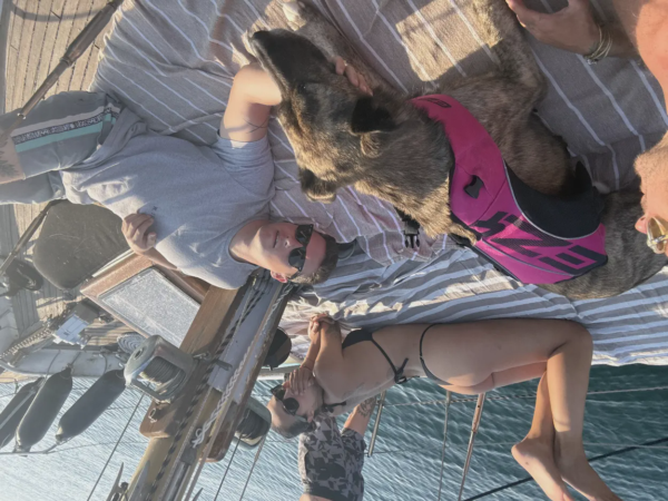 Navega con tu mascota por la ría  7