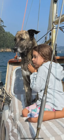 Navega con tu mascota por la ría  6