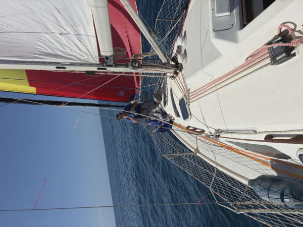 Velero divertido para 9 4