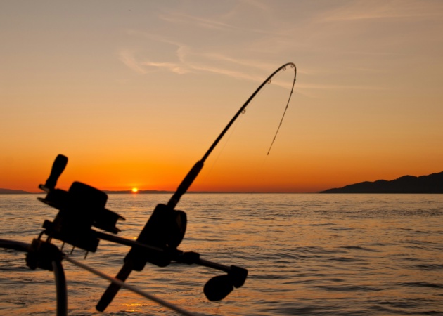 🎣 Salida de pesca en la Ría de Vigo: plan de 4 horas para disfrutar del mar con amigos 1