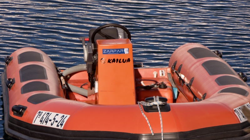 Alquiler neumática Vigo · Salida Solitaire du Figaro 24 mayo  · Hasta 7 plazas 5