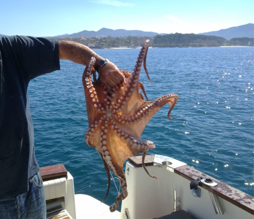 Salida de pesca en la Ría de Vigo 6